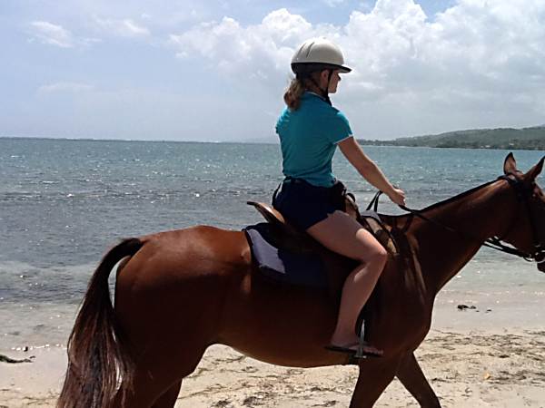 Chukka Horseback riding